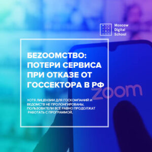 БеZoomство: эксперты оценили потери сервиса при отказе от госсектора в РФ
