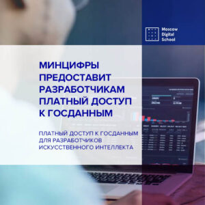 Минцифры предоставит разработчикам платный доступ к госданным
