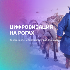 Цифровизация на рогах