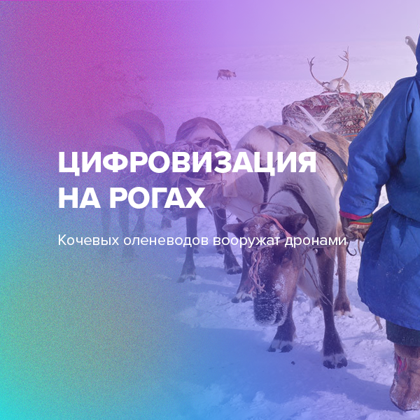 Цифровизация на рогах